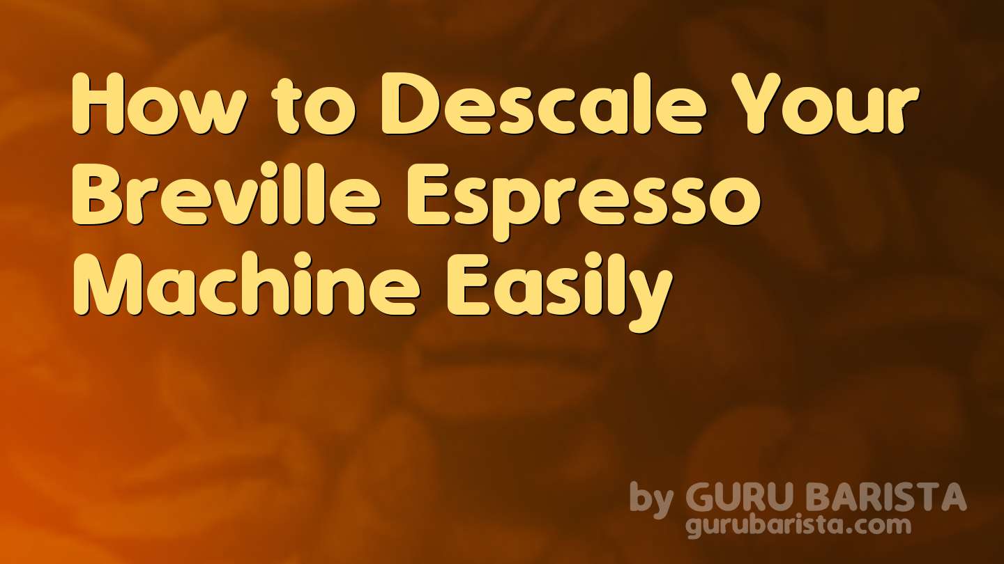 How to Descale Your Breville Espresso Machine Easily